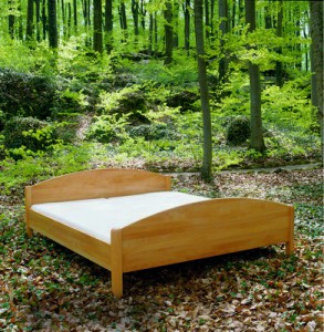 Bett Wega im Wald