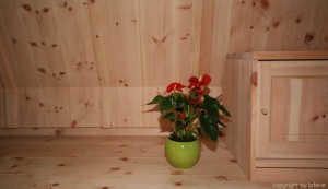 Wandverkleidung in Zirbe