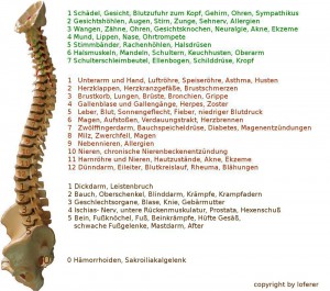 Wirbelsäule Zuordnung Krankheiten